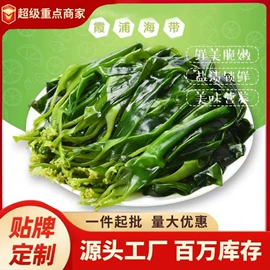 海带;紫菜;水产干货类