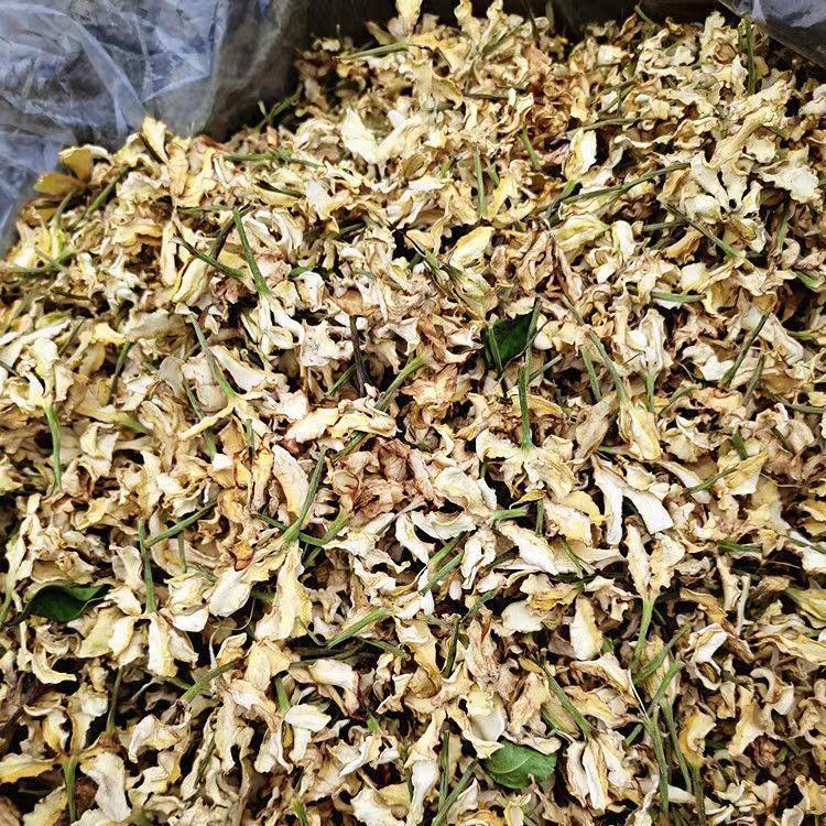 Dried Gardenia Flower (Gardenia jasminoides) — Yellow Zhi Zi Hua Herbal Tea, 500g preparation
