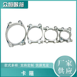 批发欧式铁镀锌双头卡箍强力卡箍双头强力喉箍重型强力抱箍配件
