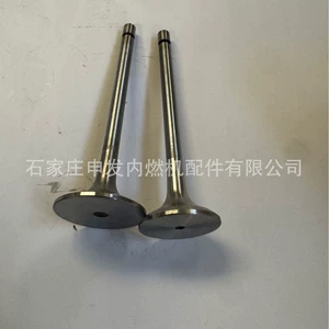 In stock: OM Mercedes OM541 intake valve 5410500226, exhaust valve