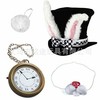 Amazon Resurrection Festival Velvet Rabbit Ear High Hat Set Easter Party Decoration Set Easter Party Hat