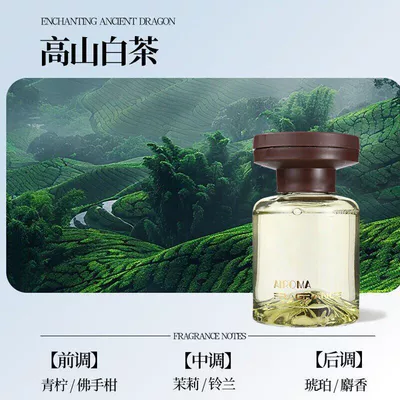 Hanging Ornament for Home Use, Flameless: Car Perfume Aromatherapy - 1-bottle-of-high-mountain-white-tea-120ml-car-air-freshenerlong-lasting-fragrance