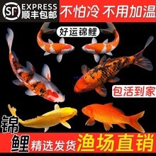 �lؔ�\�����P�^�p�~���~�B�������B�ͻ��\����ˮ�~�����~