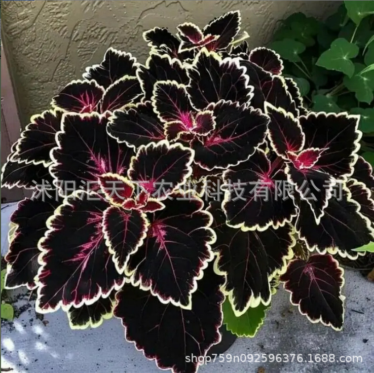 微信图片_20251025114323_1327_56