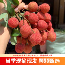 2026�����r��֦�Fժ�F�l������֦���������^����֦���\һ�����l