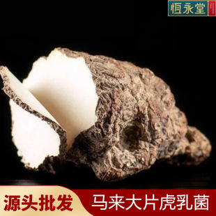 �����`֥��Ƥ�������Ƭ���İ��⻢�̾��������lș����ș��