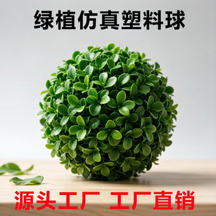 �������ֲ�����ϻ���������m��ƺ�����Ƶ��̈�����픾Gֲ�b�