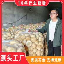 古田猴头菇干货猴头菌秋木剪根剪脚无硫散装食用菌批发代发出口级