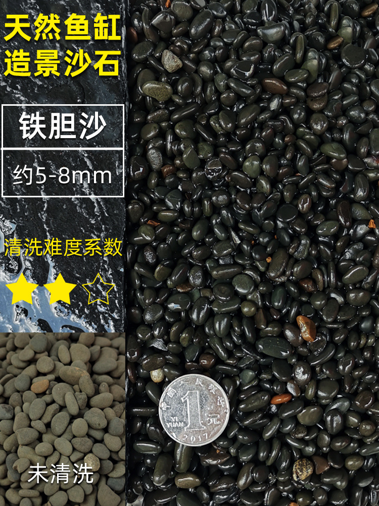 約4～7mmの小粒