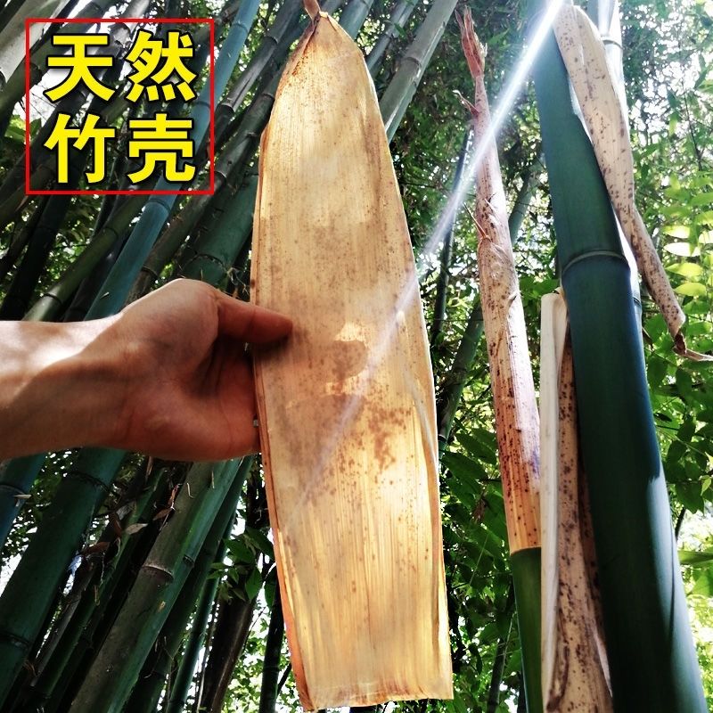 包粽子叶子竹粽叶毛竹笋叶农家晒干传统粽子叶天然竹笋壳片端午节-阿里巴巴