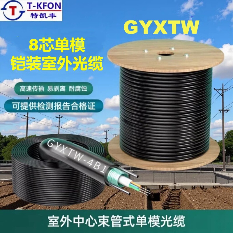 Single-Mode Fiber Optic Cable, 10g, Indoor/Outdoor, 8-Core Armored Optical Cable, Aerial Duct Type Gyxtw-8B1.3