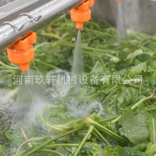 叶菜全套清洗线 菠菜清洗设备 商用贡菜气泡清洗机