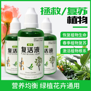Plant Flower Resurrection Liquid Special Growth Rapid Active Rooting Liquid for Plant Yellowing and Leaving