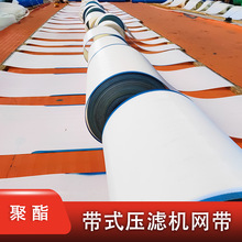 聚酯网带pet人字形带式压滤机网煤矿洗沙造纸压榨网