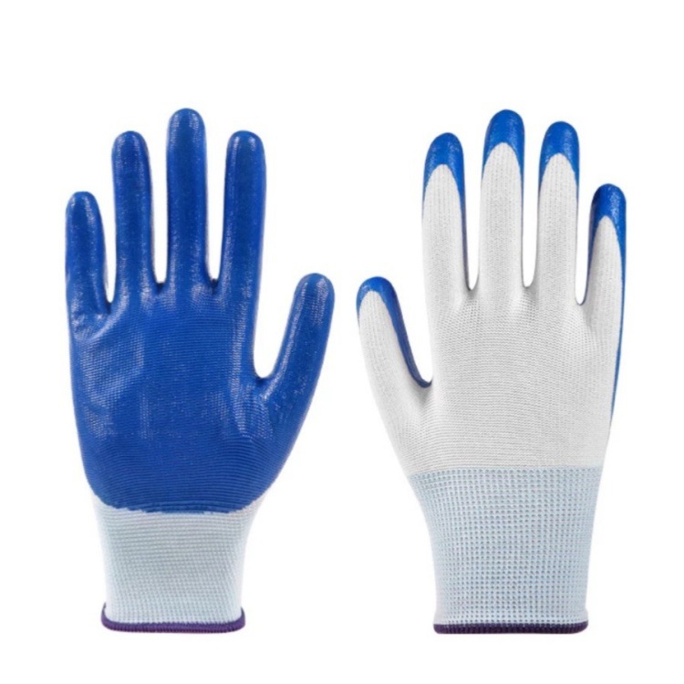 IMG_0989(20231202-233657)