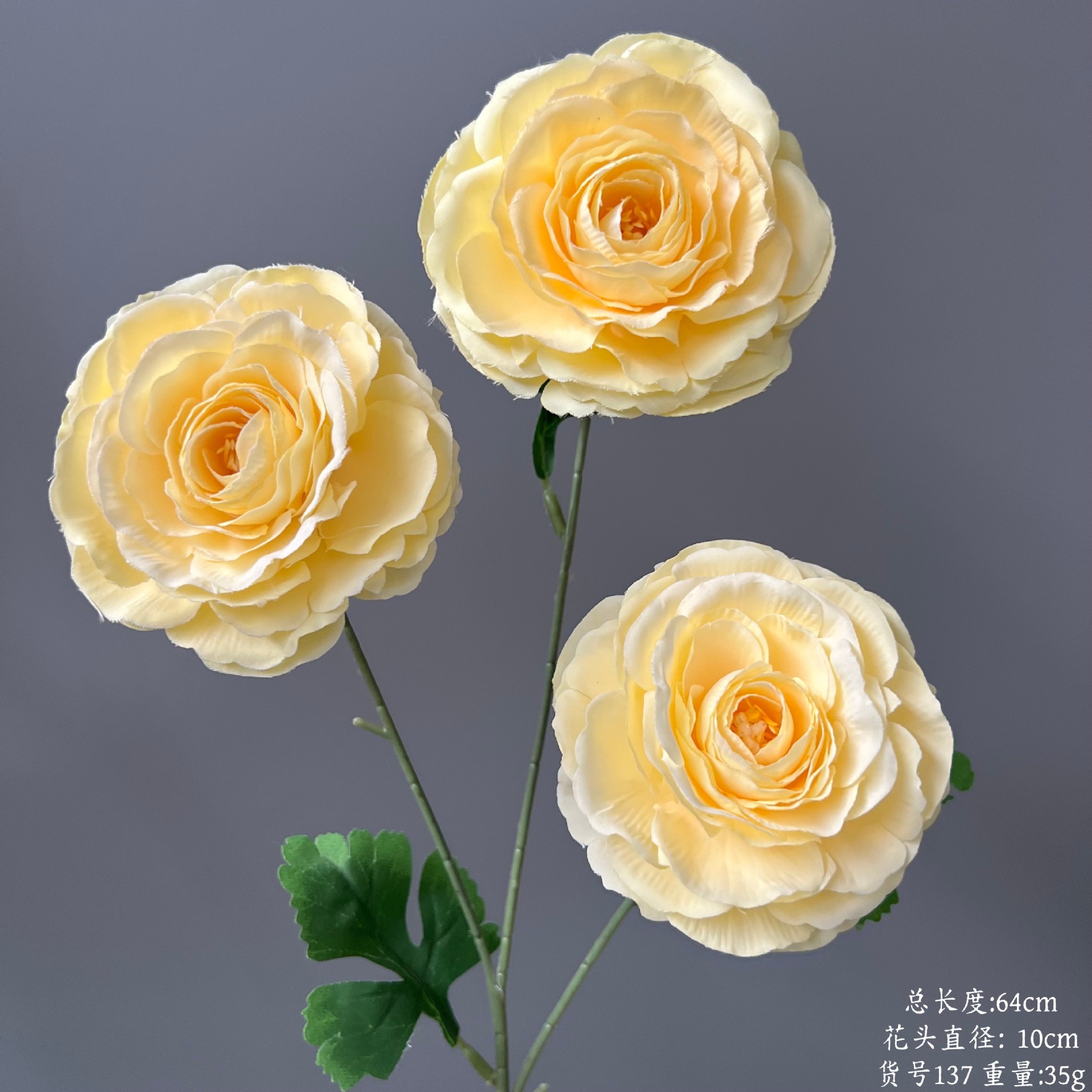 품목번호 137-세 머리 연꽃