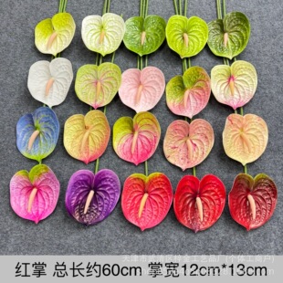 ���滨���Ƽt�Ƹ߷�3D�ָ��zƬ���Q�ƻ�cܛ�b�ҾӼٻ��羳���l