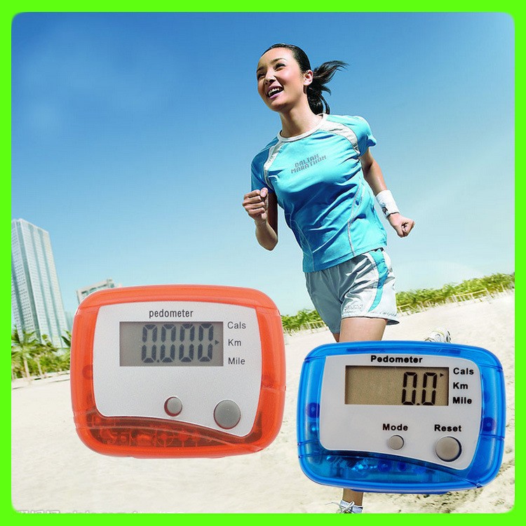 4177833827_1408106132