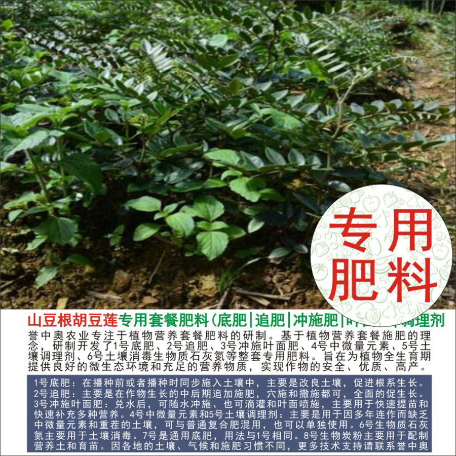 50�����а�ɽ����ר���л��ʸ��Ϸʵ׷�׷��Ҷ��ʳ�ʩ��ˮ�ܷ�