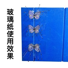 展翅蝴蝶压材昆虫标本制作透性玻璃纸插针可强便于高透材料蝶类