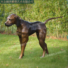 ���ƹ��͹�����Ȯ�T�~������ܿ��T����Ф����Ȯ�S�~������⾰�^