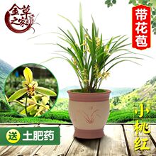 ���P����ڽ��m�ļ��m�҃ȝ������m���绨�ڎ�����