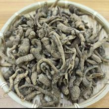 ����ɽ������ɽ�Ρ���������λ�β��