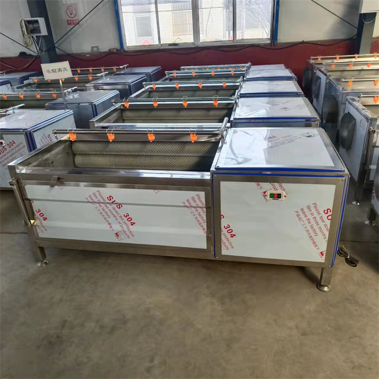 花生清洗设备 核桃毛辊清洗机 大枣清洗流水线