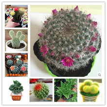 �������������������k������X�p�������ֲ������Gֲ�辰����