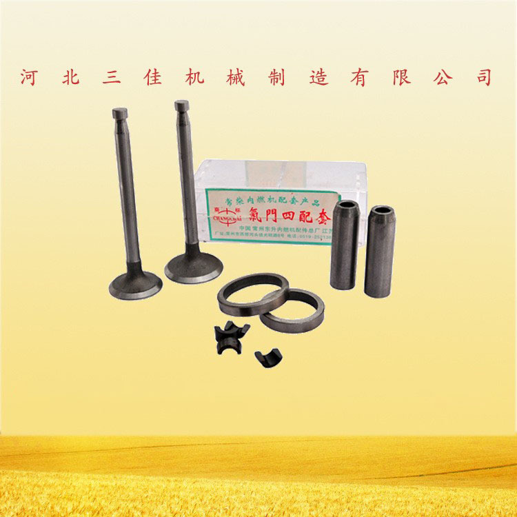 庞口农机配件批发S1110气门组合家用农业四轮车柴油机零配件批发