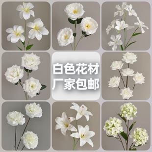 ��ɫϵ���滨��c�����bٻ��[���ɻ�ˇõ�廨��·���廨������