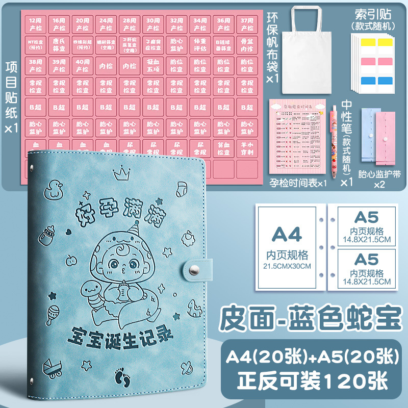 Formulario de informe del libro de aceptación del examen de embarazo