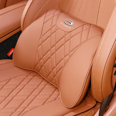 Seat cushion, seat cover Seat Cushion Breathable All Year Round - trumpchi-lumbar-support-ocher-brown-1-piece