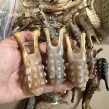 ţ�Ǳǲ����׿̻�ѨλĘ����Ħ���ڻ�ţ�ǌ��������