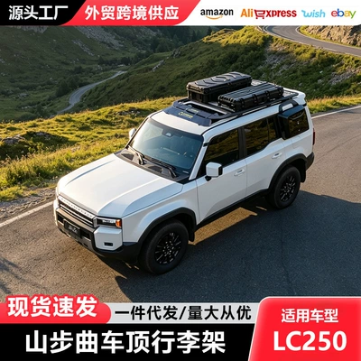 Roof rack — Modified Roof Platform