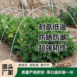 玻璃纤维杆硬质塑料棒风筝杆伞骨植物支撑杆玻璃纤维棒弹力绝缘棒