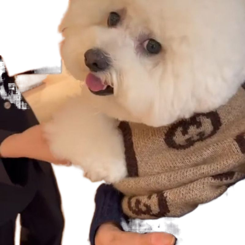 유행 애완 동물 니트 슈나우저 작은 팬더 두꺼운 스웨터 인터넷 연예인 가을, 겨울 개 옷