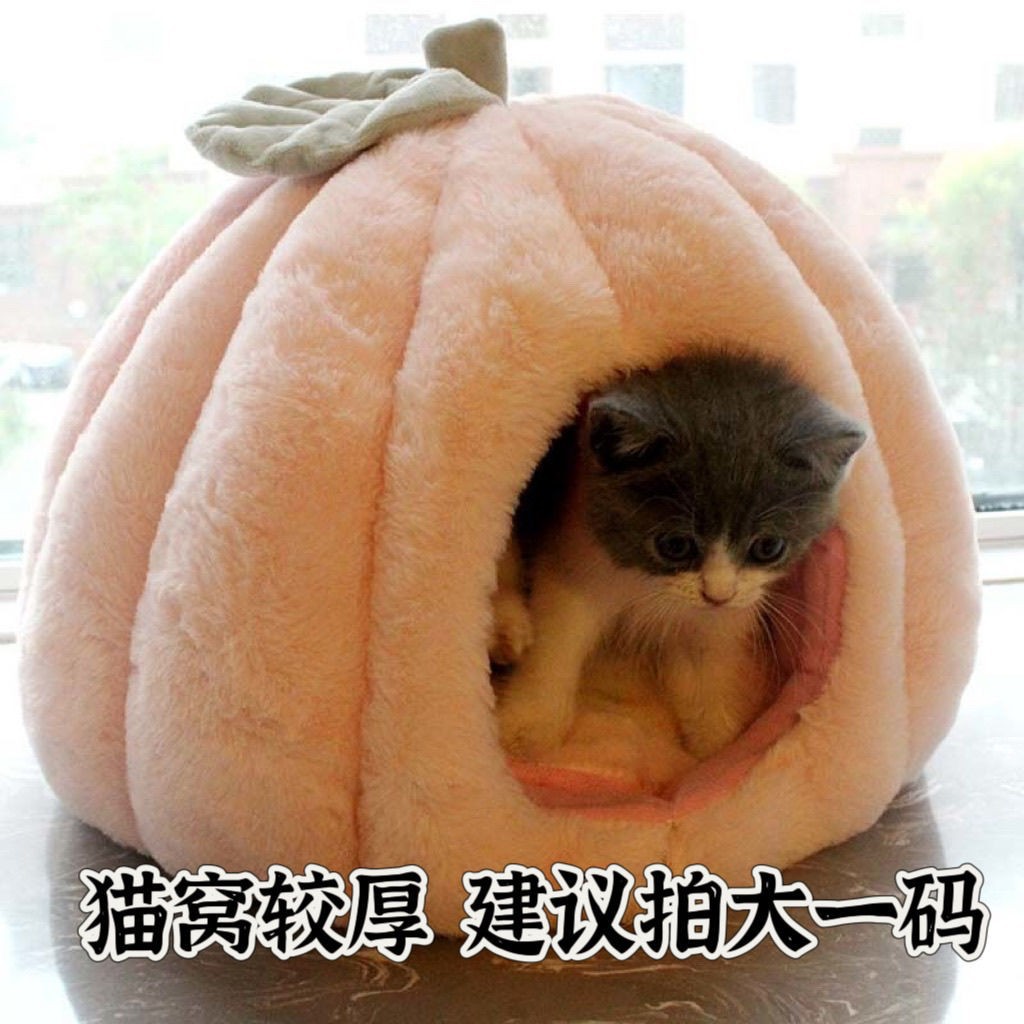 温馨南瓜猫窝四季保暖通用宠物窝可爱蒙古包式设计