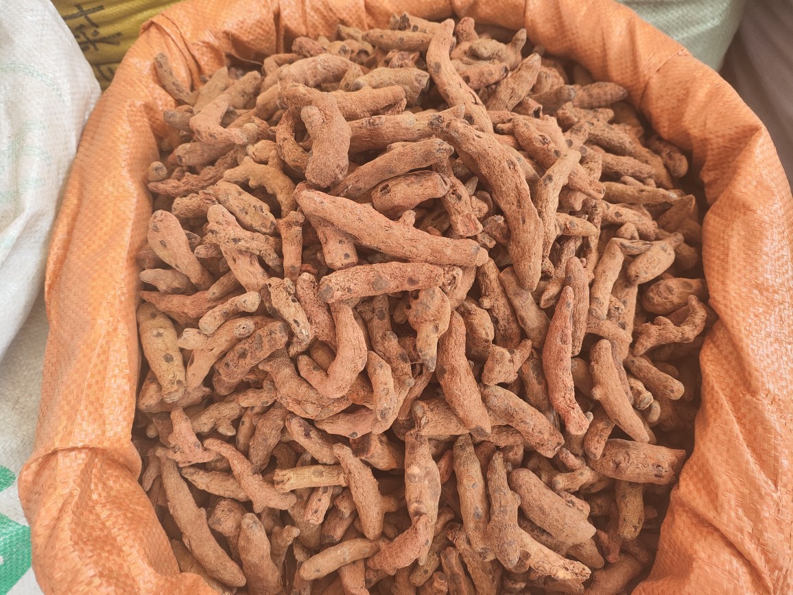 Xue San Qi (Blood Panax) — Dried Herbal Root, 250g Powder-Grade specifications
