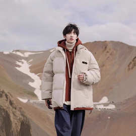 假两件棉服男女秋冬新款休闲宽松连帽加厚保暖情侣面包服棉衣外套