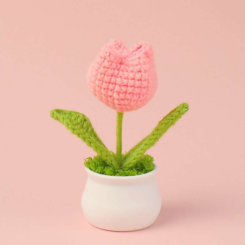 Producto acabado - una sola cabeza de polvo de melocotón Tulip pequeña maceta
