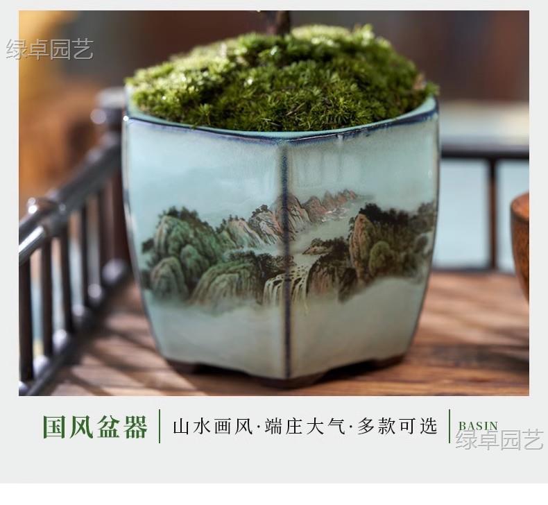 详情图