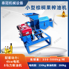 亚热带小型 棕榈果专用榨油机 棕榈果仁压榨柴油机油坊出油机