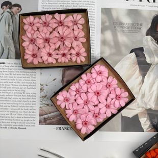 ���������վ�СҰ�Չ���С��diy��ˇ���߸ɻ��������� 12�� / ��