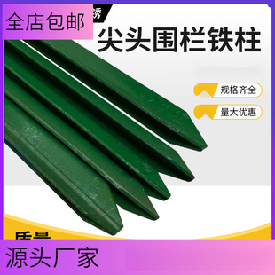 �����F���������F�z�W���ڗU���Pţ�ھW�����T�F���^���Bֳ����