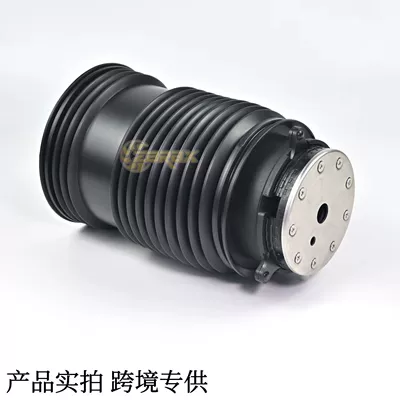 Rear Air Bag, damping system