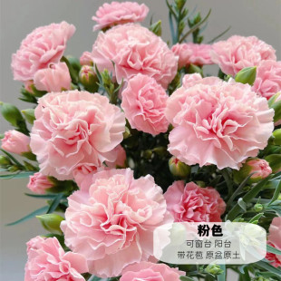 ����ܰ���Ժ��B�ļ��_���@�̨�҃����氫ʯ�񎧻����l����������