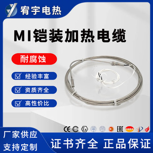 Mineral Insulated Mi Armored Heating Cable Corrosion-Resistant Electric Heating Belt Armored Heating Manufacturer Direct Sales Wholesale