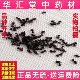 黑蚂蚁黑多刺蚁大黑蚂蚁干泡酒料 250 500克包邮真货好货