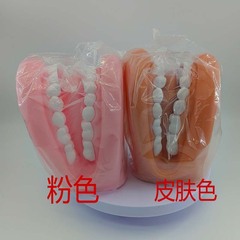 歯科材料/歯科用消耗品/口腔機器/歯科教育モデル入れ歯モデル歯科用歯モデル